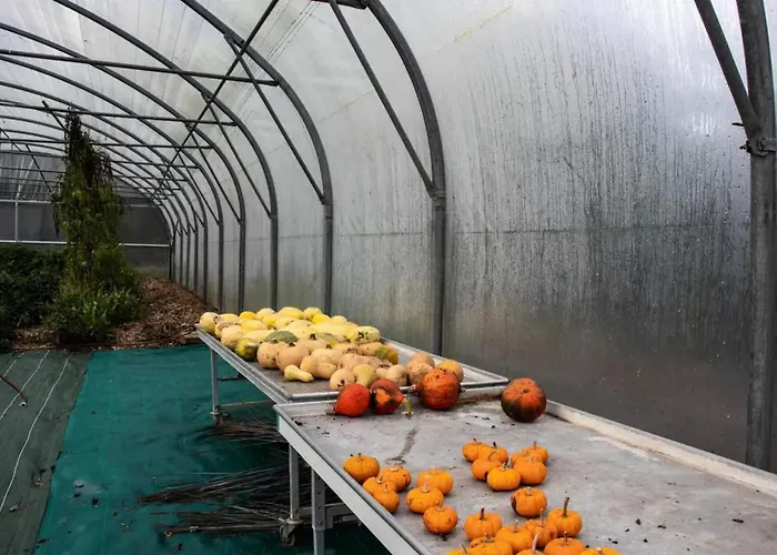 Jardins Du Puits - Parcel Tiny House - Tiny House Au Coeur D'une Ferme Proche Deauville Mae-7493 Lodge