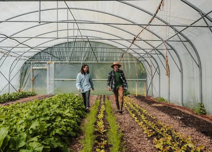 Jardins Du Puits - Parcel Tiny House - Tiny House Au Coeur D'une Ferme Proche Deauville Mae-7493 Blangy-le-Château